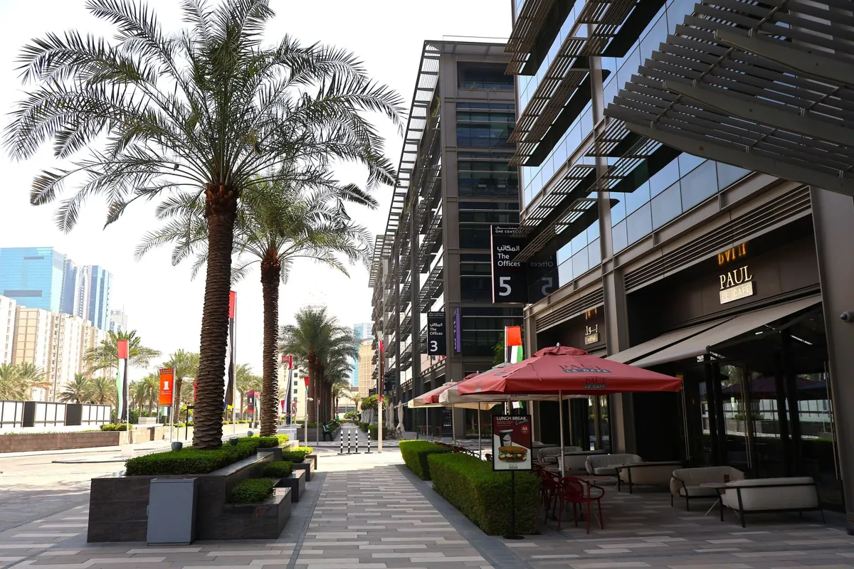 Outdoor café terrace under palm trees