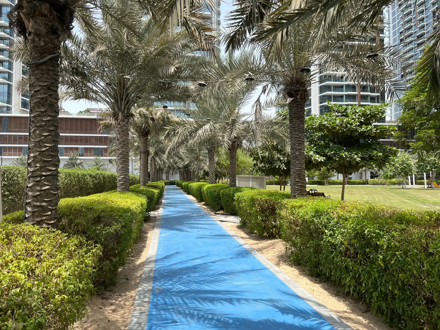 Palm-lined walkway through a landscaped park